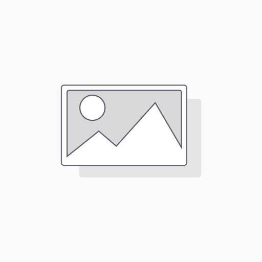 Kingston memory card 32 GB